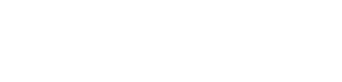 Austin Leader